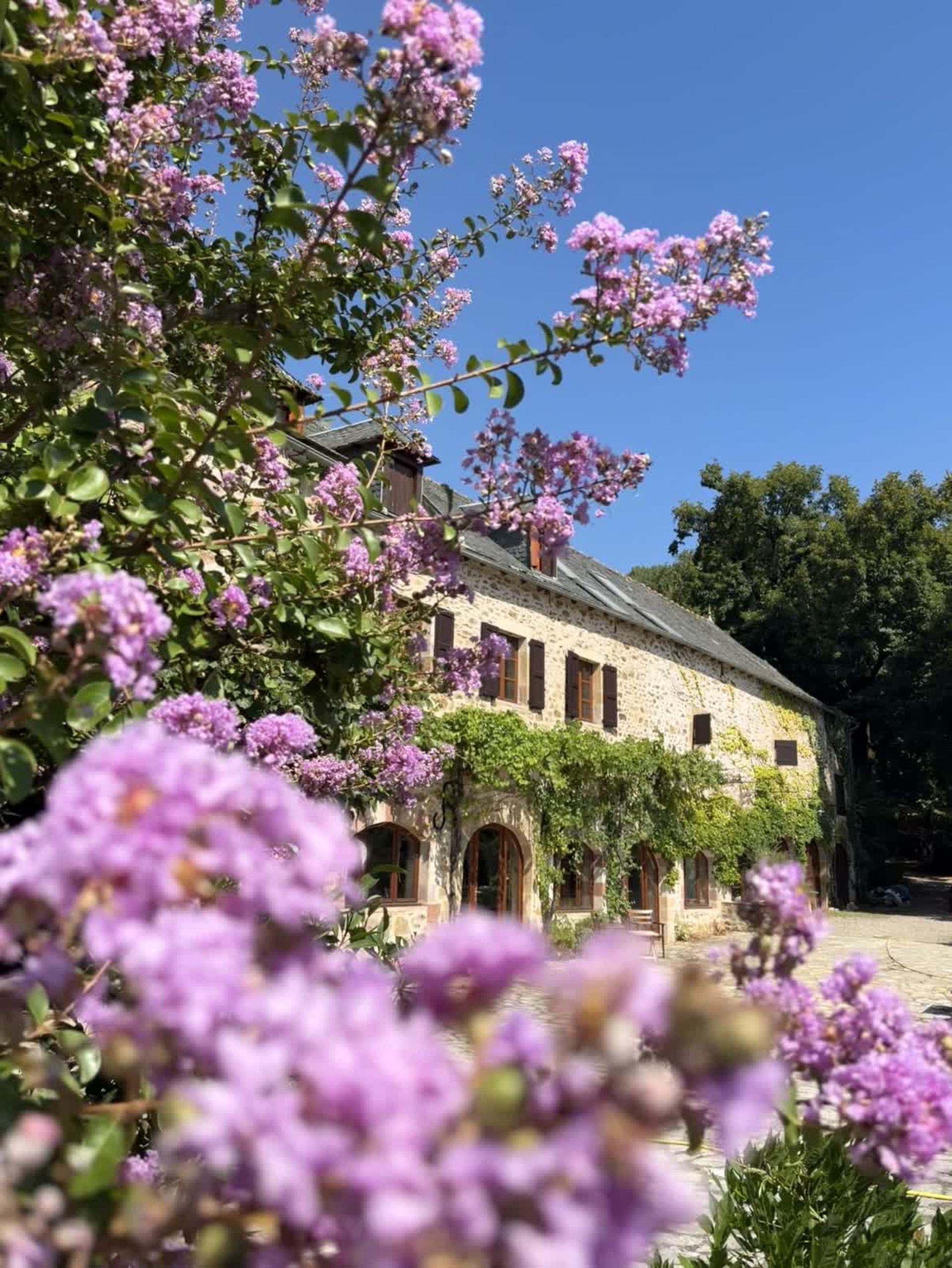 Façade en pierre de Les Gardes, maison d'hôtes à Najac, recouverte de glycine en fleurs
