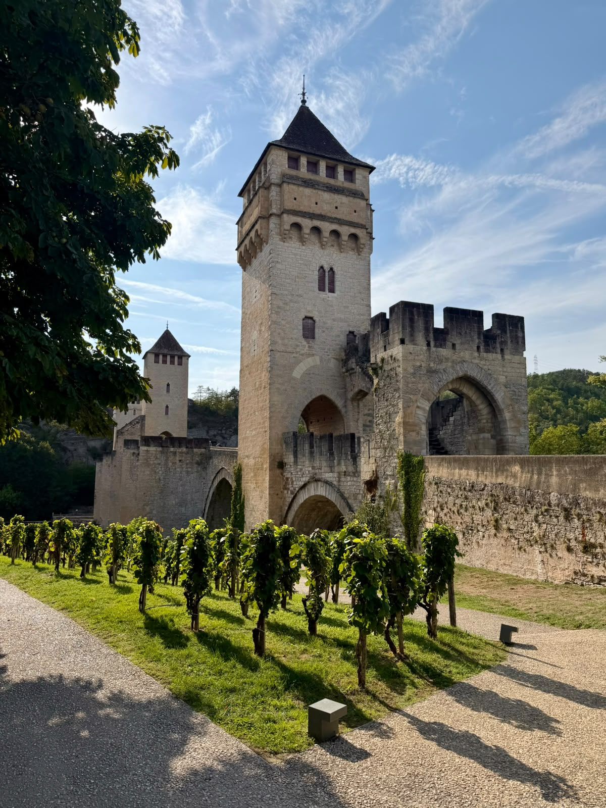 Le pont Valentré à Cahors, avec ses tours médiévales et une vigne au premier plan